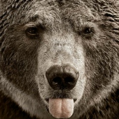 Семён Буданов, 30.03, Санкт-Петербург