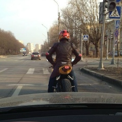 Павел Азбель, 28.01, Санкт-Петербург