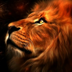 Жандос Жеткергенов