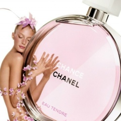 Алена Житкова, Луцк