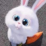 Сергей Целинко, 30.06.1989, Скадовск