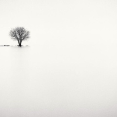 Иракли Речия, 19.03.1990, Москва