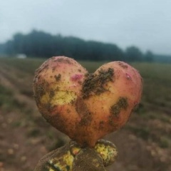 Аня Юхневич, 21.04, Минск