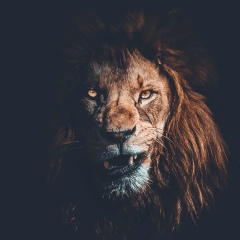 Askhat Musabek, 15.01, Алматы