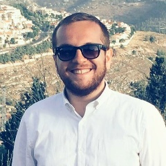 Давид Виледник, 10.08.1990, Иерусалим