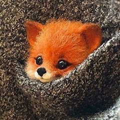 Настя Шурупова