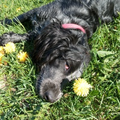 Елена Александрова, 14.06, Санкт-Петербург