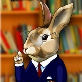 Максим Абрикосов, Ростов-на-Дону