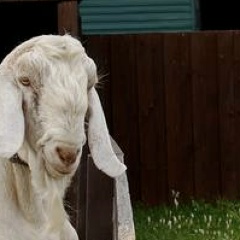 Алексей Россовский, 13.02, Санкт-Петербург