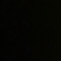 Юлия Эстрина