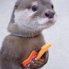 Денис Сташков