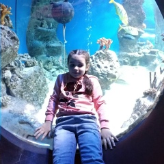 Константин Ульм, 20.03.1985, Новосибирск