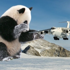 Дмитрий Панов, Иваново