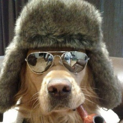 Александр Сыромятников, 11.03