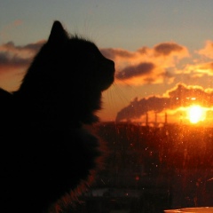 Елена Андрющенко, 07.01, Новороссийск