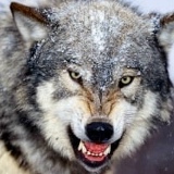 Айтуган Сыдык, 05.09, Актобе