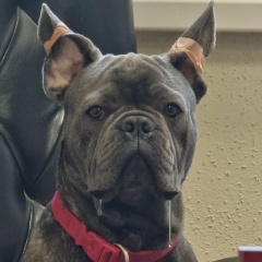 Дмитрий Поляков, 16.03.1984, Минск