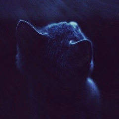 Нюточка Мандрыка, 15.02, Краматорск