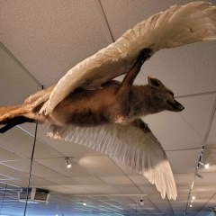 Mila Mirelli, 13.02, London