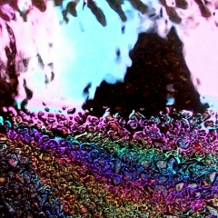 Маришка Phee-Ee-Eet, Киев