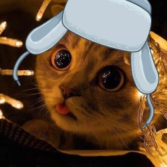 Саша Романько, 12.01, Москва