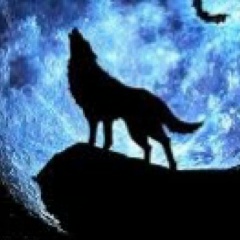 Alper Turan, 01.01.1982, Tabriz