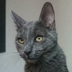 Павел Чернявский, 18.01