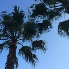 Марина Марина, 23.11.1924, Оренбург