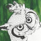 Алексей Гречин, 29.02.1988, Санкт-Петербург