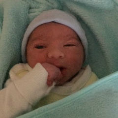 Mike Kheil, 04.03, Stade