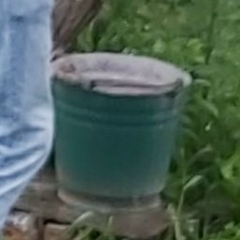 Святослав Волков, 20.12, Марфино