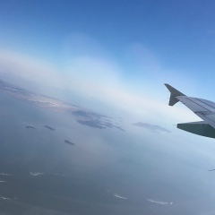 Roman Sogr, 07.09.1979, Санкт-Петербург