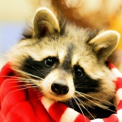 Сергей Березуцкий, 01.05, Белгород