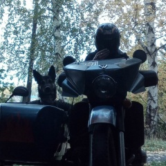 Вадим Девятов, 27.11.1963