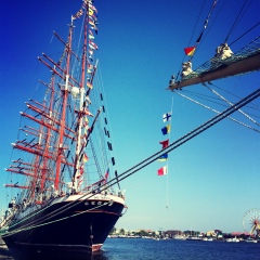 Сергей Татарников, Wilhelmshaven