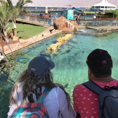 Катерина Толмачёва, 21.12, Алматы