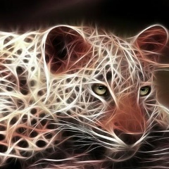 Ани Лорак, Москва