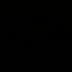 Станислав Шипило, 09.07.1988, Houston