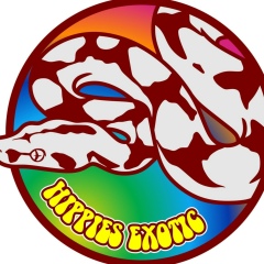 Angger Wahyudian, 24.09.1990, Jakarta