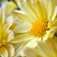 Виолетта Татарина, 09.02, Одесса