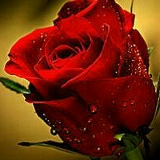 Гавхар Исатаева, 30.09.1997, Шымкент