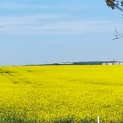 Сергей Асиновский