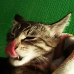 Илья Горбунов, 17.04.1989, Москва