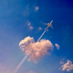 Фарида Абдуллаева