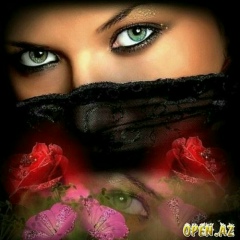 Роза Садовая, 17.11.1983