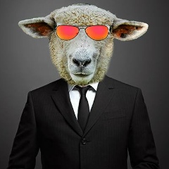 Felipe Palha, 21.07.1993, Belém