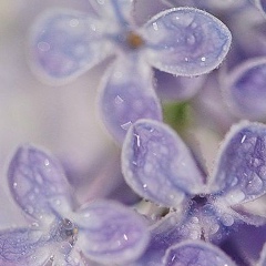 Людмила Русяева, 04.03, Актау