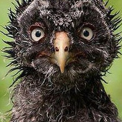 Елена Володина, 16.03, Воронеж