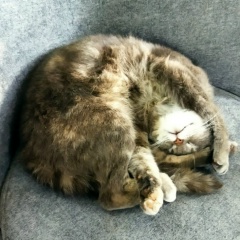 Влад Авертанов, 16.02, Москва