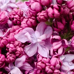 Валентина К, Москва